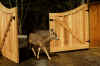 deerfence4.JPG (669989 bytes)