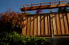 grape_arbor_3.JPG (270501 bytes)